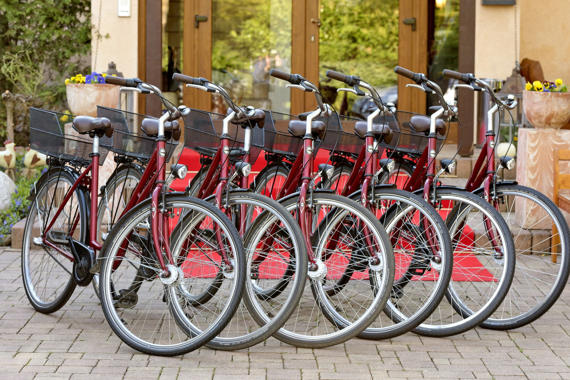 Rental bicycles in front of the hotel entrance – Hotel Potsdam am Katharinenholz