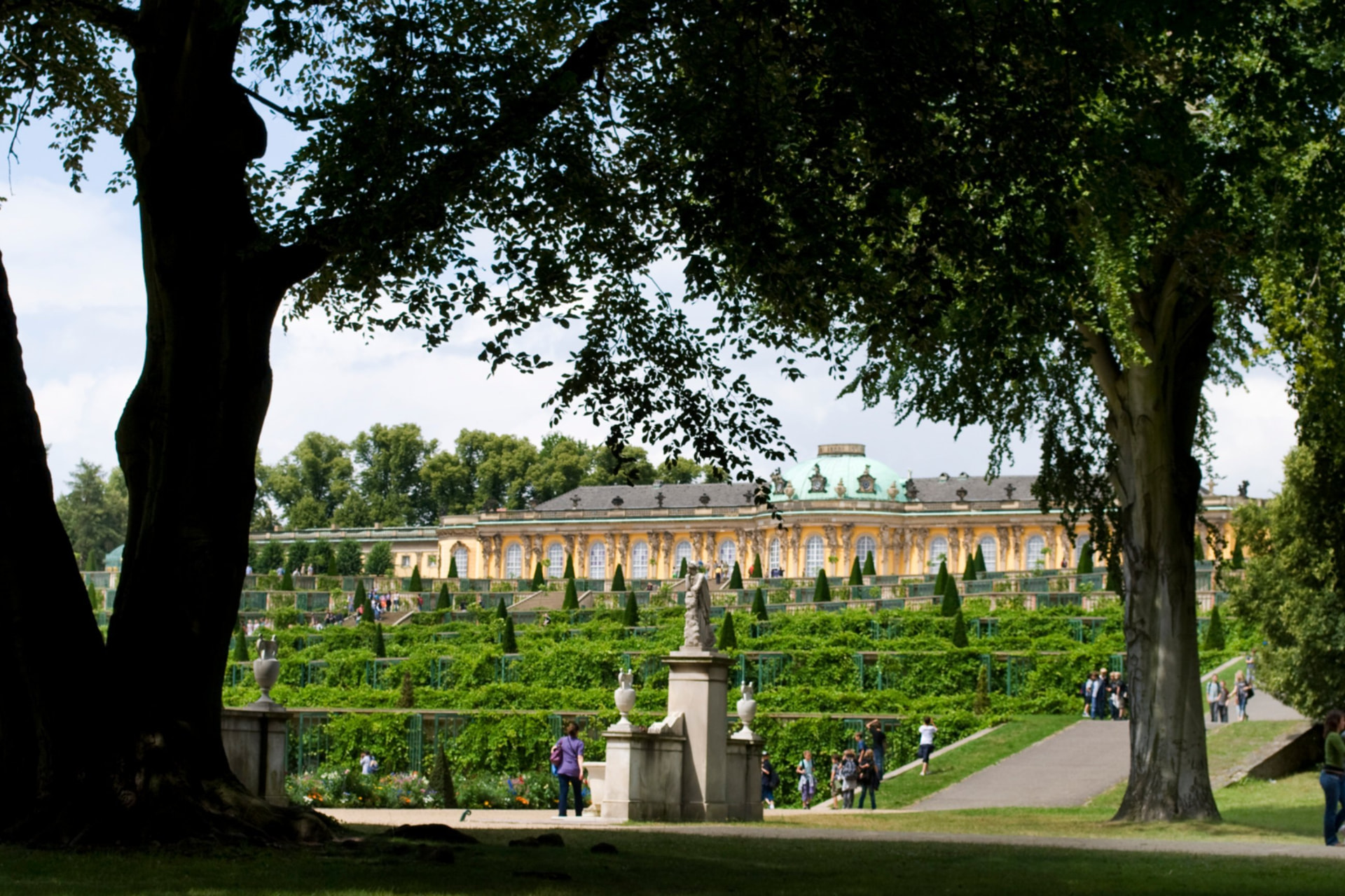 Schloss Sanssouci behind vineyard terraces and trees – Best price offer Hotel Potsdam Katharinenholz